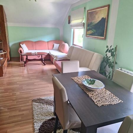 Apartman Sara Pale - Ski Centar Ravna Planina Luaran gambar