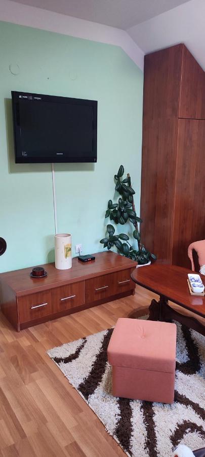 Apartman Sara Pale - Ski Centar Ravna Planina Luaran gambar