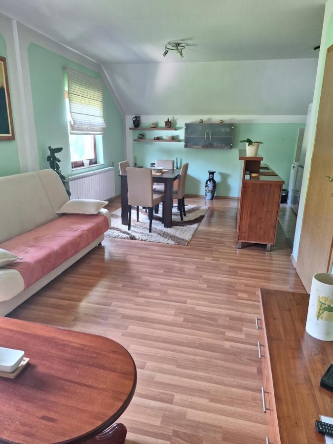 Apartman Sara Pale - Ski Centar Ravna Planina Luaran gambar
