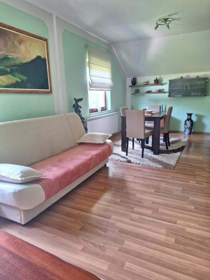 Apartman Sara Pale - Ski Centar Ravna Planina Luaran gambar