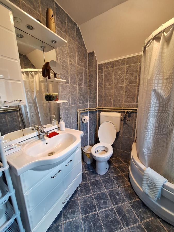 Apartman Sara Pale - Ski Centar Ravna Planina Luaran gambar
