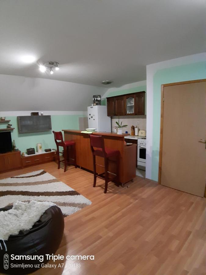 Apartman Sara Pale - Ski Centar Ravna Planina Luaran gambar