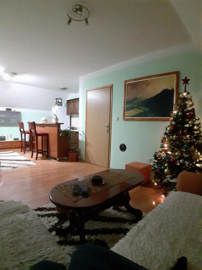 Apartman Sara Pale - Ski Centar Ravna Planina Luaran gambar